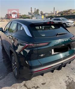 جیتۆر داشينگ